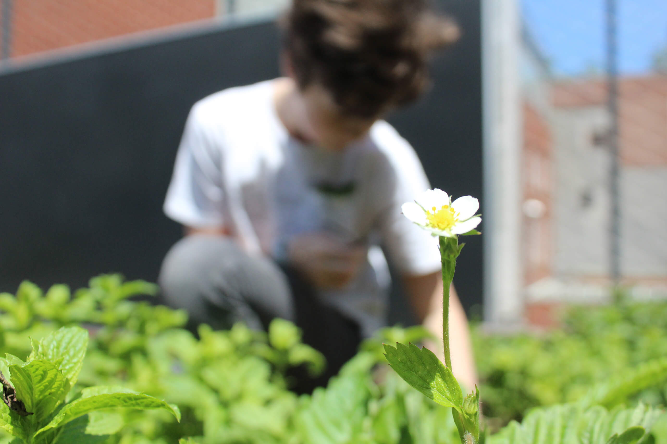 Blue-School-Middle-School-20